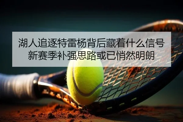 湖人追逐特雷杨背后藏着什么信号 新赛季补强思路或已悄然明朗